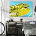 Obraz na płótnie 120x80 - Kameleon w swoim świecie - kameleon, jaszczurka