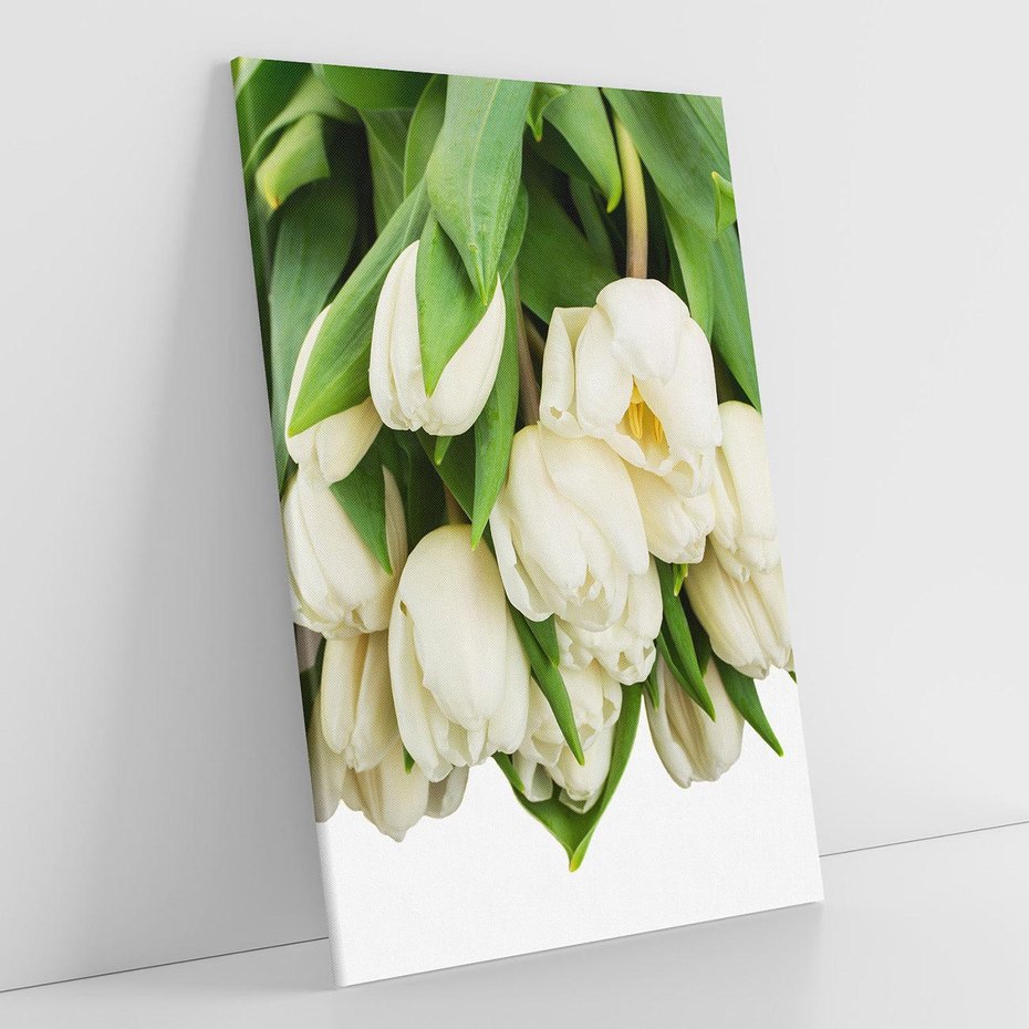 Obraz na płótnie 80x120 - Białe tulipany w pełnym rozkwicie - białe, tulipany