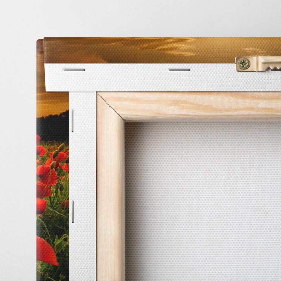 Obraz na płótnie 70x100 - Maki na łące: Przebudzenie wiosny - mak, maki