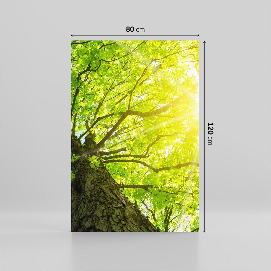 Obraz na płótnie 80x120 - Drzewo pod Słońcem: Łączność z Naturą - drzewo, słońce