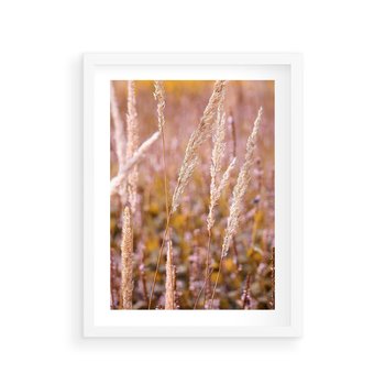 Plakat w ramie 30x40 - Sucha Trawa w Sierpniu - trawy, łąka - rama biała