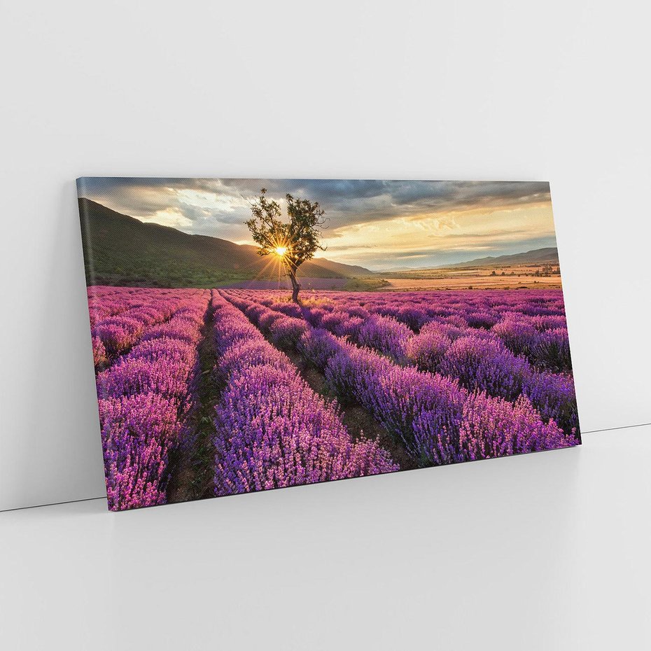 Obraz na płótnie 100x50 - Lawenda: Pachnący ogród natury - lawenda, kwiaty