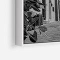 Obraz w ramie 80x120 - Nadmorska Uliczka - czarno białe zdjecie, uliczka w nadmorskim mieście - rama biała