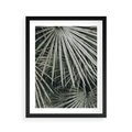 Plakat w ramie 40x50 - Ujęcie Tropikalnej Natury - palmy, liście palmy - rama czarna