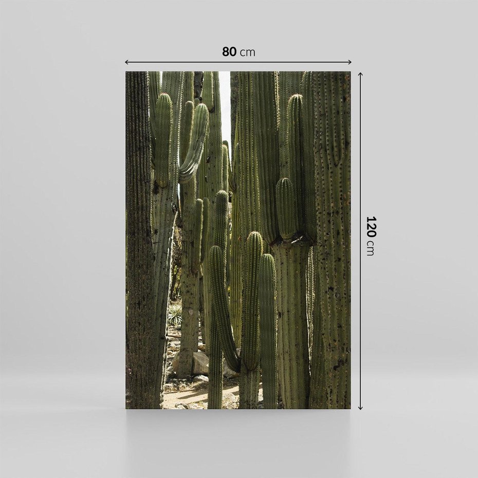 Obraz na płótnie 80x120 - Wyjątkowy Klimat Boho - kaktusy, pustynia