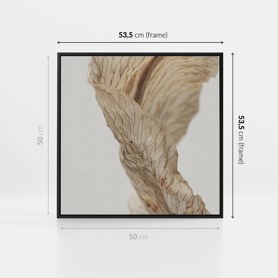 Obraz w ramie 50x50 - Suszone piękno - susz, suche - rama czarna