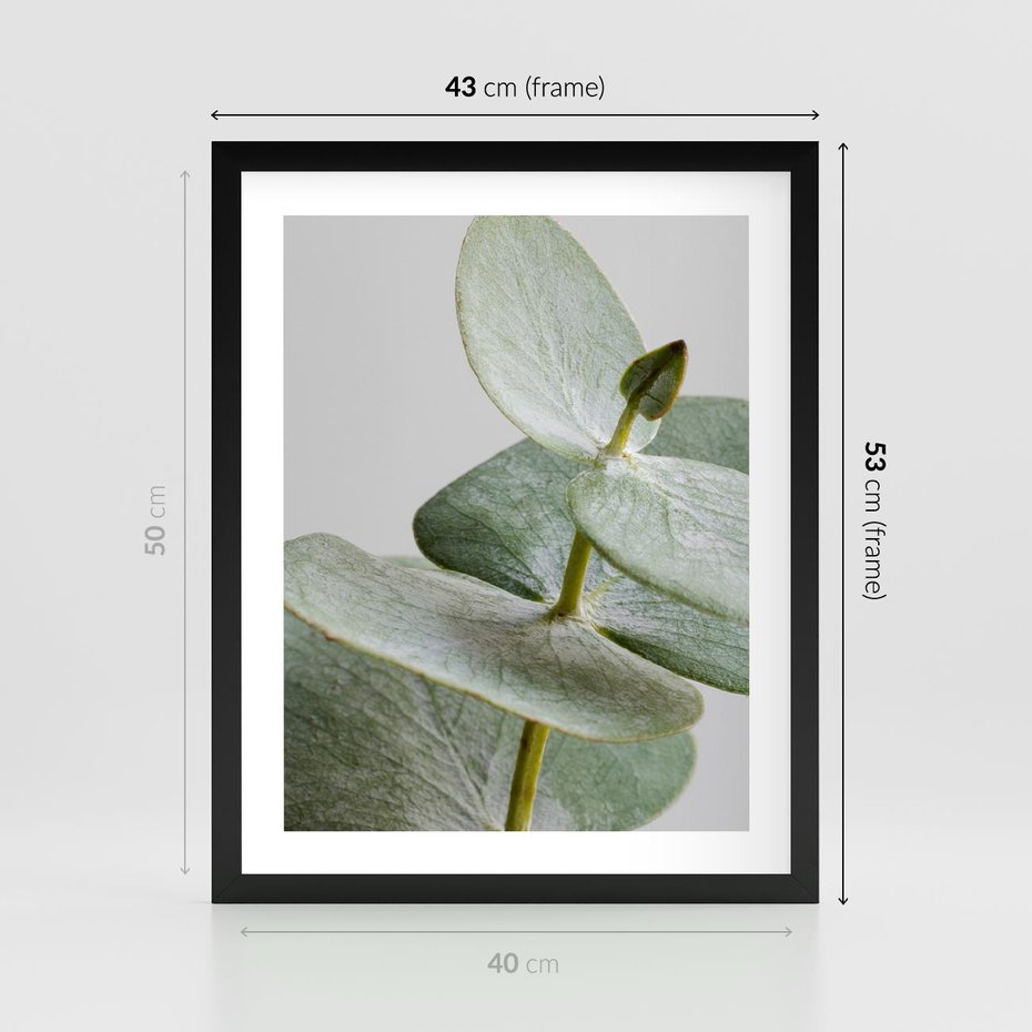 Plakat w ramie 40x50 - Eukaliptusowa zieleń - eukaliptus, zielone - rama czarna