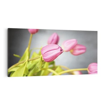 Obraz na płótnie 140x70 - Tulipanowy urok - tulipany, kwiat