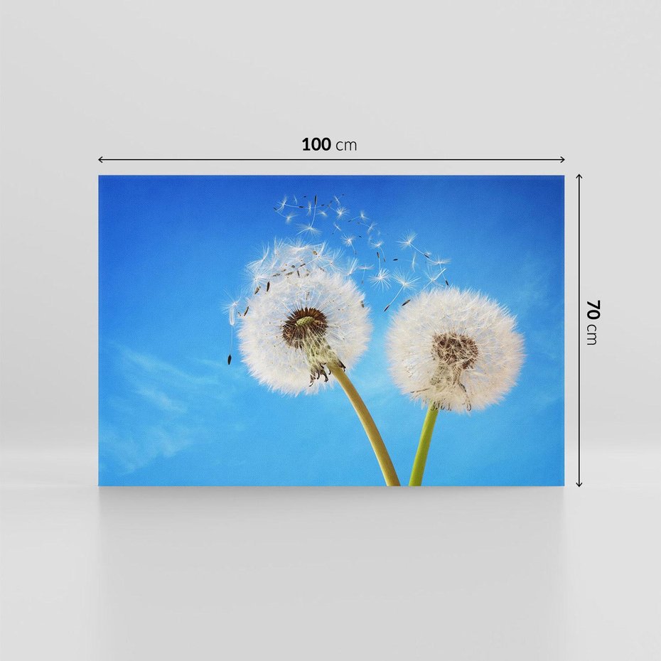 Obraz na płótnie 100x70 - wiatr pełen marzeń - dmuchawce, wiatr
