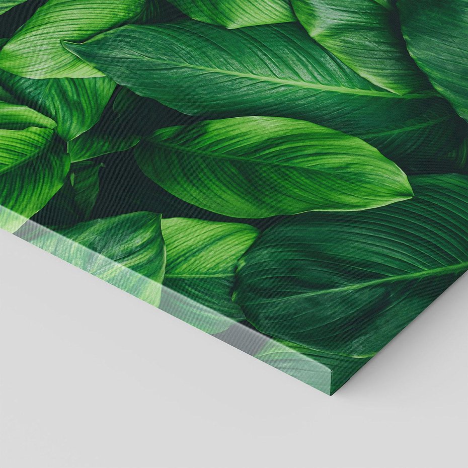 Obraz na płótnie 50x50 - Palma Liście Kwiat - palma, liście