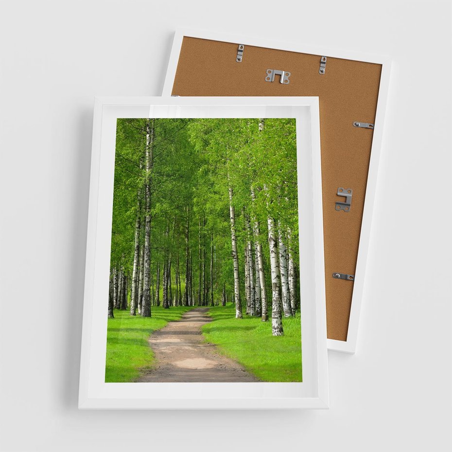 Plakat w ramie 50x70 - Spacer Ścieżką w Urokliwym Lesie - las, ścieżka - rama biała