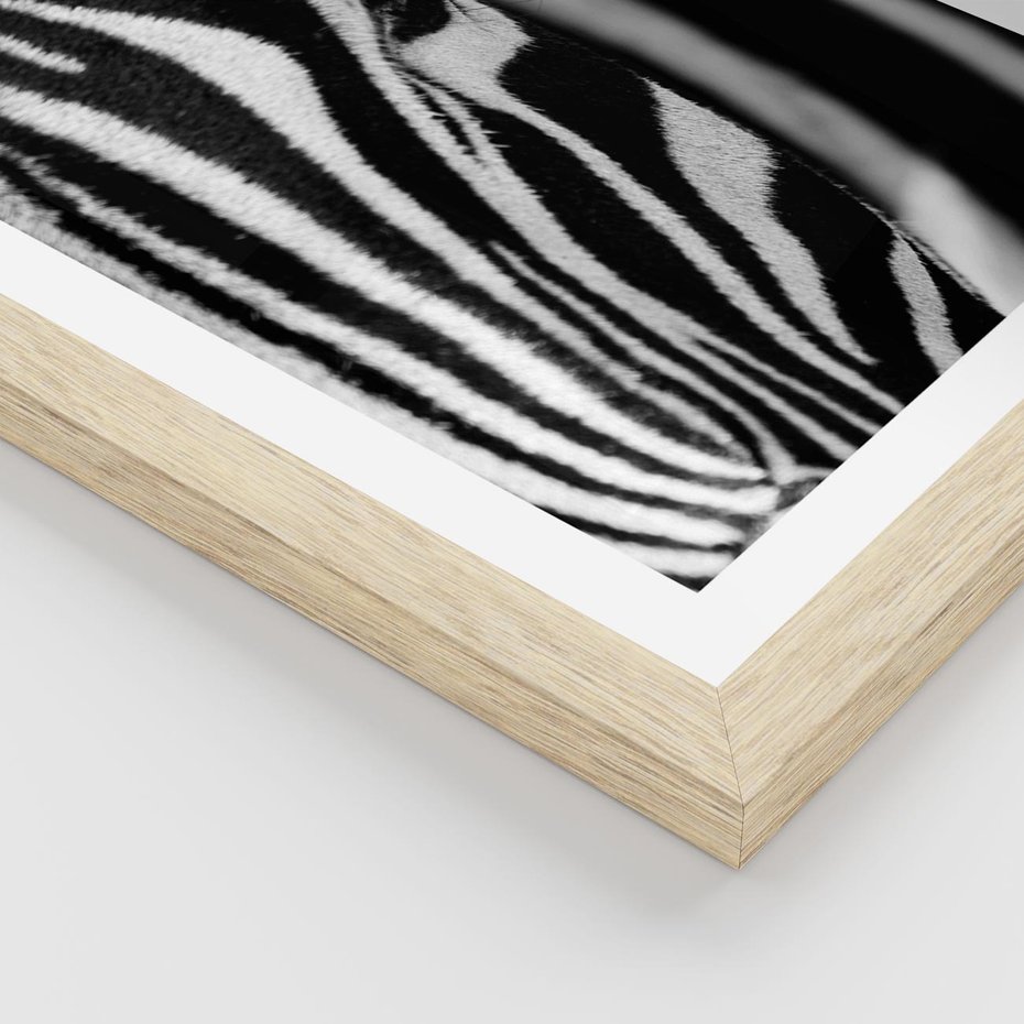 Plakat w ramie 40x50 - Pasy Zebr - zebra, paski - rama drewno