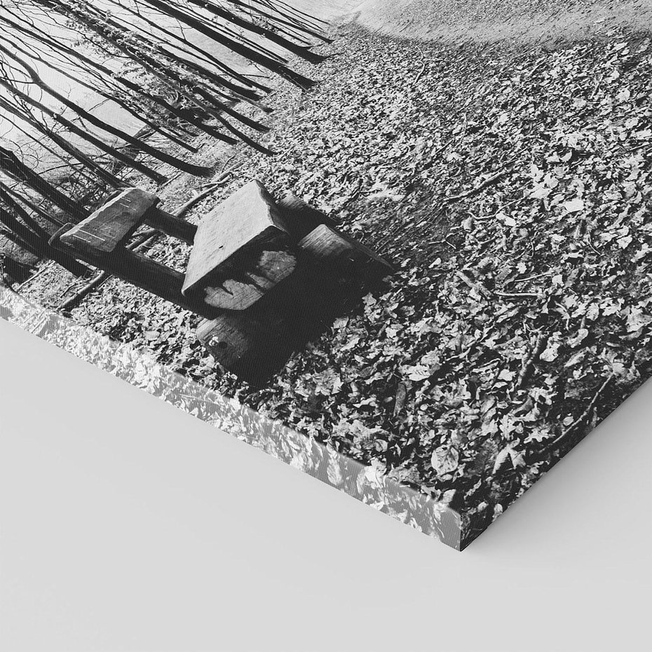 Obraz na płótnie 50x70 - Spadające Liście - czarno białe zdjecie, park