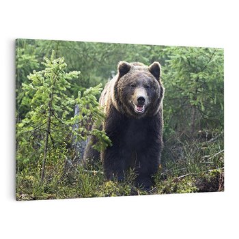 Obraz na płótnie 120x80 - Spotkanie z Niedźwiedziem w Lesie - niedźwiedź, las