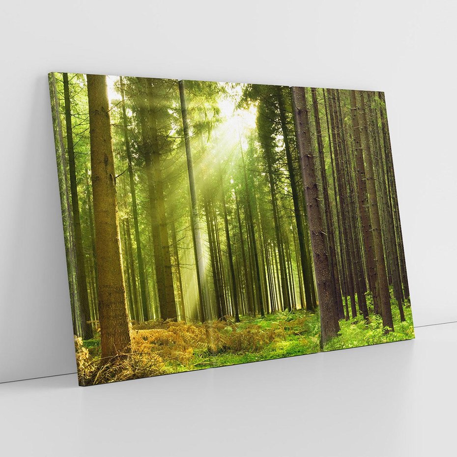 Obraz na płótnie 120x80 - Spokój wśród drzew: las w odcieniach zieleni - las, drzewa