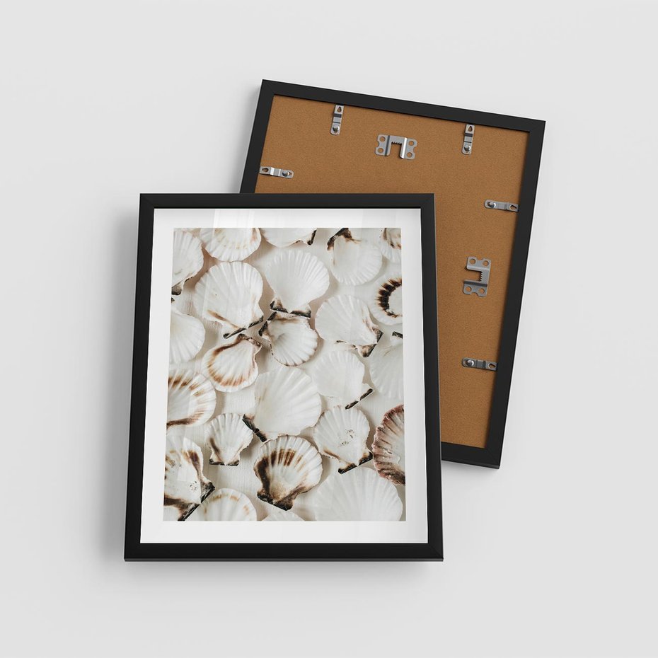 Plakat w ramie 40x50 - Białe Muszle - białe muszle, ujęcie z góry - rama czarna