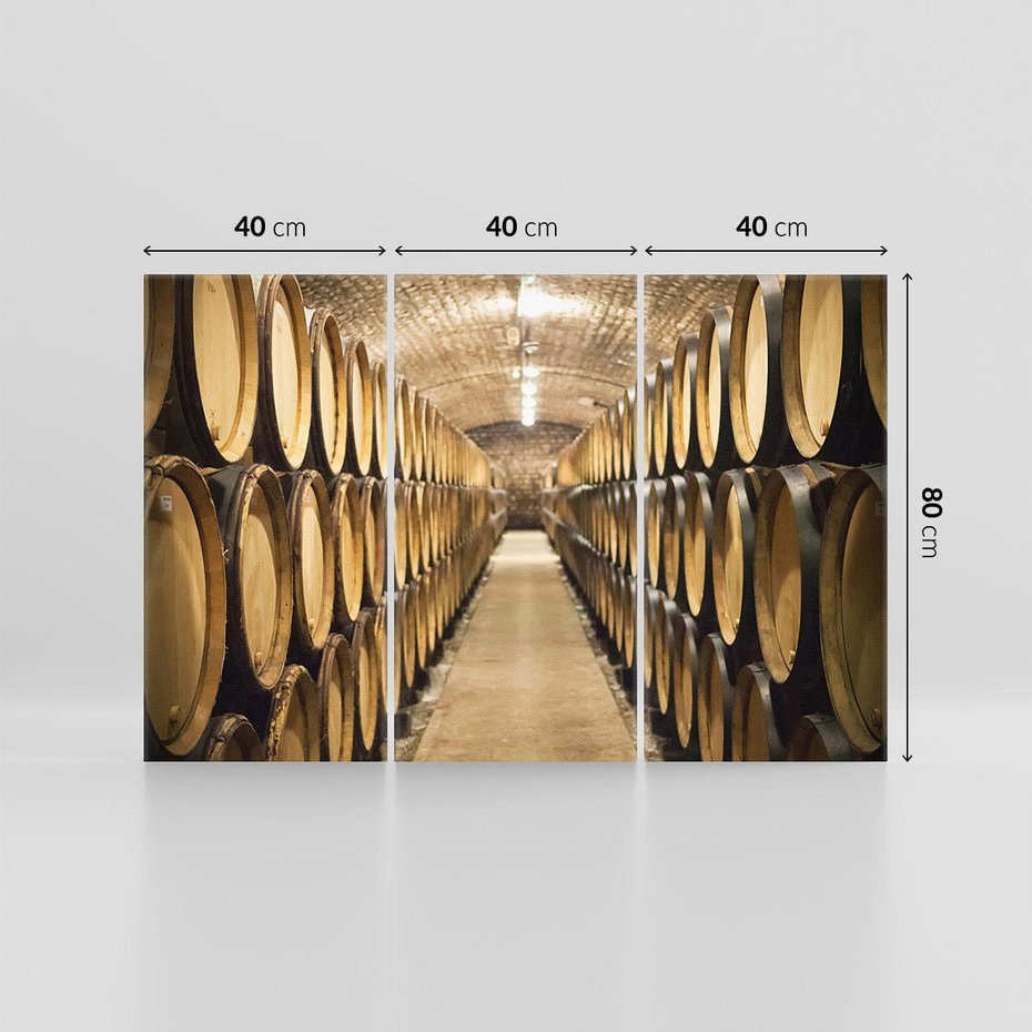 Obraz na płótnie 120x80 - Winniczka - winnica, beczki