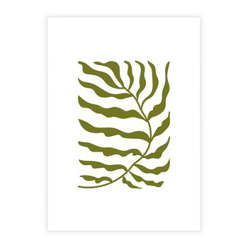 Plakat bez ramy 21x30 - Rytmy Chaosu - roślina, gałązka