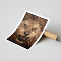 Plakat bez ramy 30x40 - Władca Sawanny - lew, sawanna