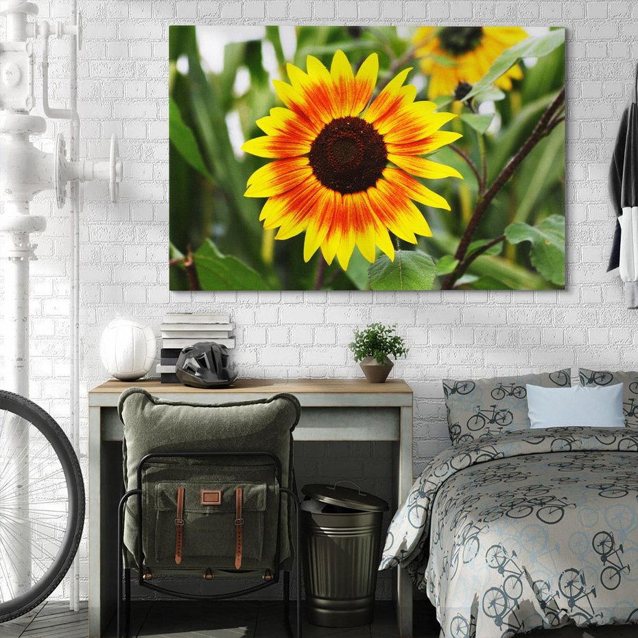 Obraz na płótnie 120x80 - Kwiatowa harmonia natury - słonecznik, kwiaty