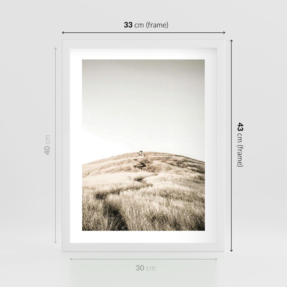 Plakat w ramie 30x40 - Wzgórze w Odcieniach Sepii - wzgórze, trawy - rama biała