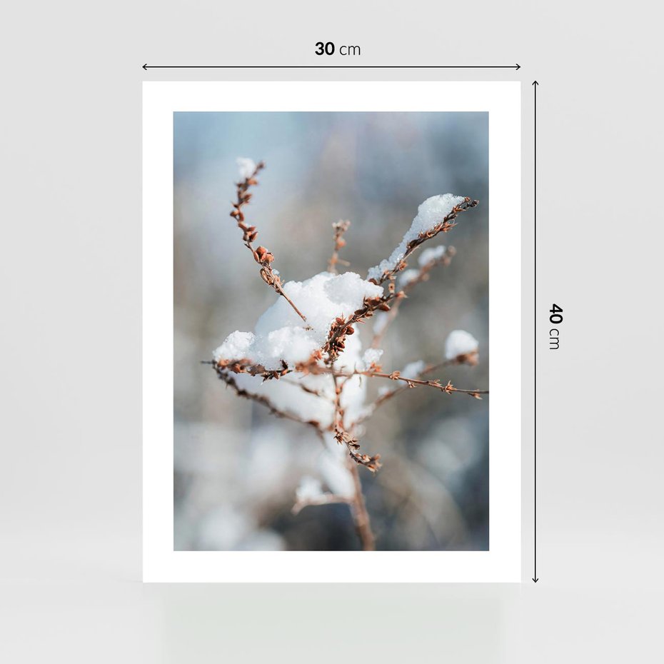 Plakat bez ramy 30x40 - Zimowy Urok Natury - gałązki pod śniegiem, natura