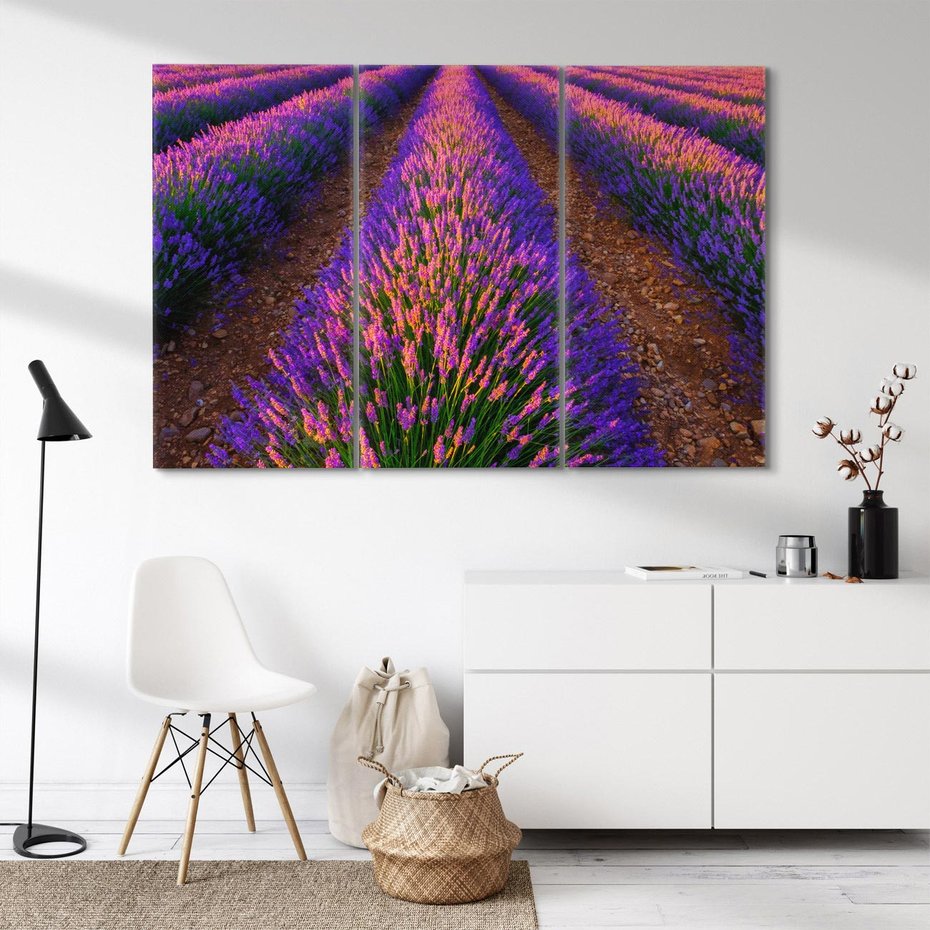 Obraz na płótnie 120x80 - Fioletowa Magia - pole, lawendy