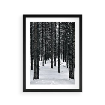 Plakat w ramie 40x50 - Zimowe Drzewa: Śnieg na Pniach - drzew w zimi, pnie drzew - rama czarna