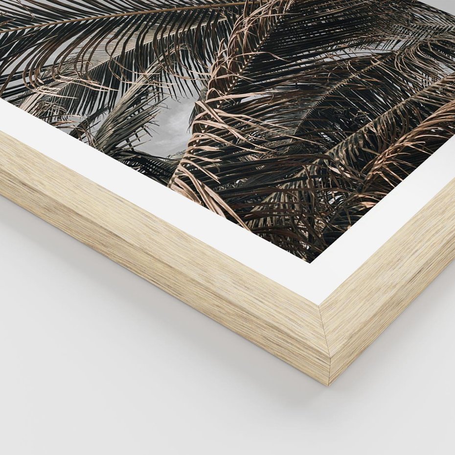 Plakat w ramie 30x40 - Liściaste Palmy - palmy, drzewa palmowe - rama drewno