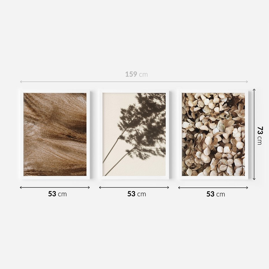 Zestaw obrazy w ramie 50x70 galeria - Boho, suche, kwiaty, trawy - rama biała