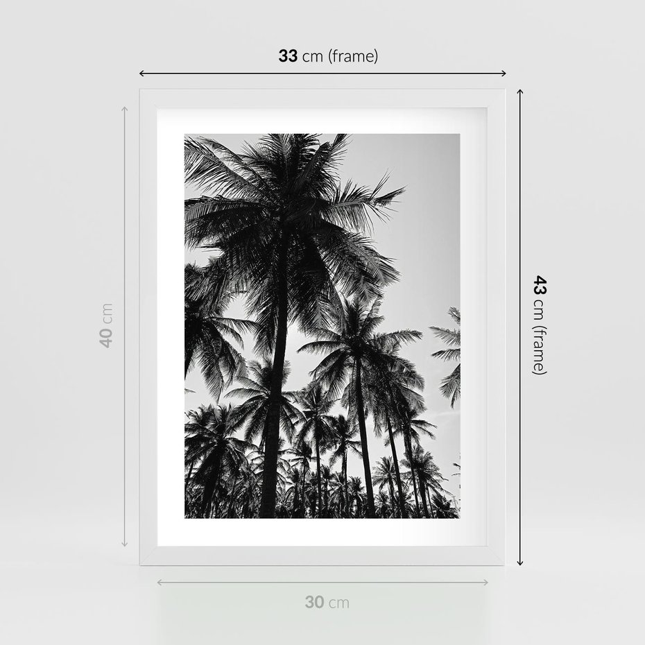 Plakat w ramie 30x40 - Mono Tropiki - palmy, drzewa palmowe - rama biała