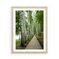 Plakat w ramie 50x70 - Spacer ścieżką przez brzozowy las - las, ścieżka - rama drewno