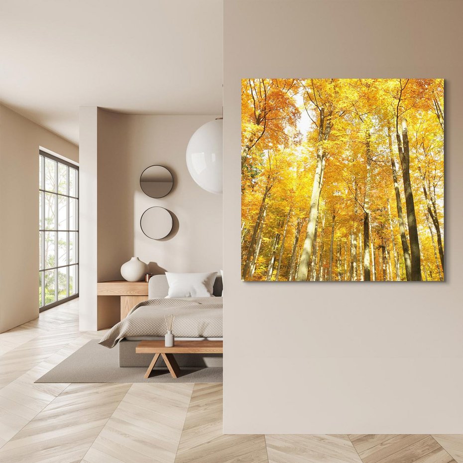 Obraz na płótnie 30x30 - Jesienny Las - Kolorowa Paleta Natury - jesień, drzewa