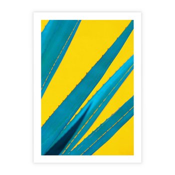 Plakat bez ramy 50x70 - Świeżość Natury - aloes, liście