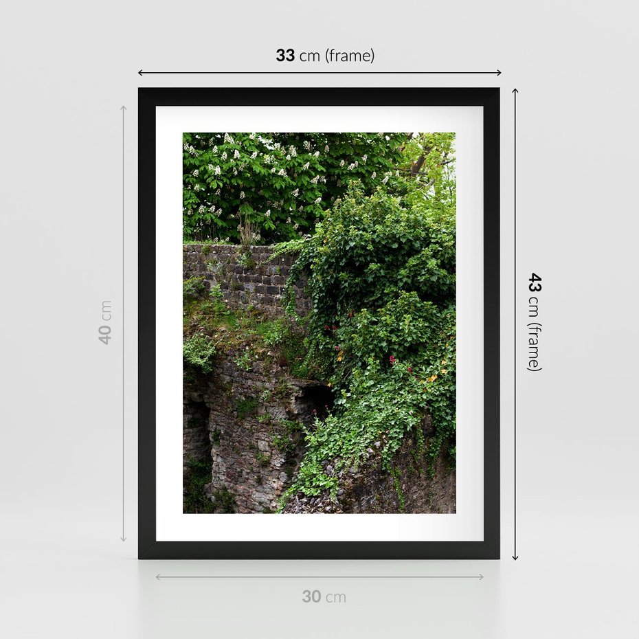 Plakat w ramie 30x40 - Żywiołowa Zieleń - mur, liście - rama czarna