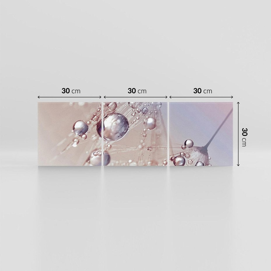 Obraz na płótnie 90x30 - Delikatne Natchnienie - krople, dmuchawce