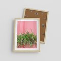 Plakat w ramie 30x40 - Fotografia Rośliny z Różowym Tłem - fotografia, zielona roślina na tle różwj ściany - rama drewno