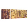 Obraz na płótnie 150x50 - Wędrówka między drzewami - droga, drzewa
