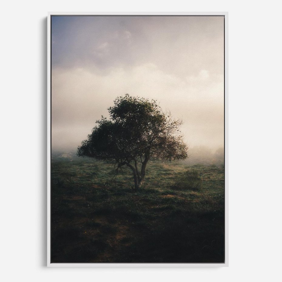 Obraz w ramie 80x120 - Zamglona Prostota - artystyczna fotografia, samotne drzewo na zamglonej łące - rama biała