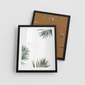 Plakat w ramie 40x50 - Liście Palmy na Czystym Tle - liście palmy, białe tło - rama czarna
