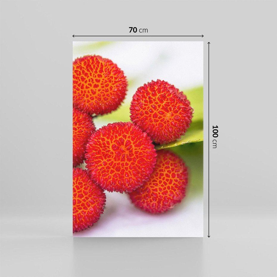 Obraz na płótnie 70x100 - Liczi Owoce - liczi, owoce