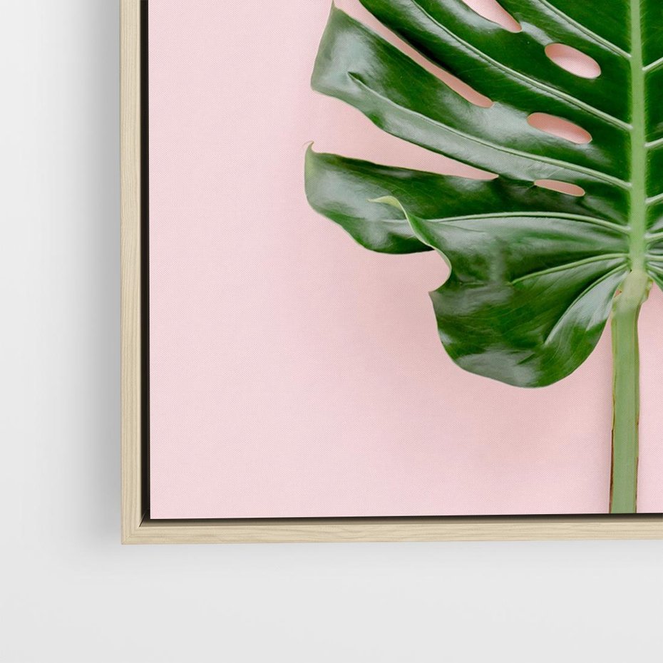 Obraz w ramie 50x50 - Egzotyczna Roślinność - liście, monstera - rama drewno