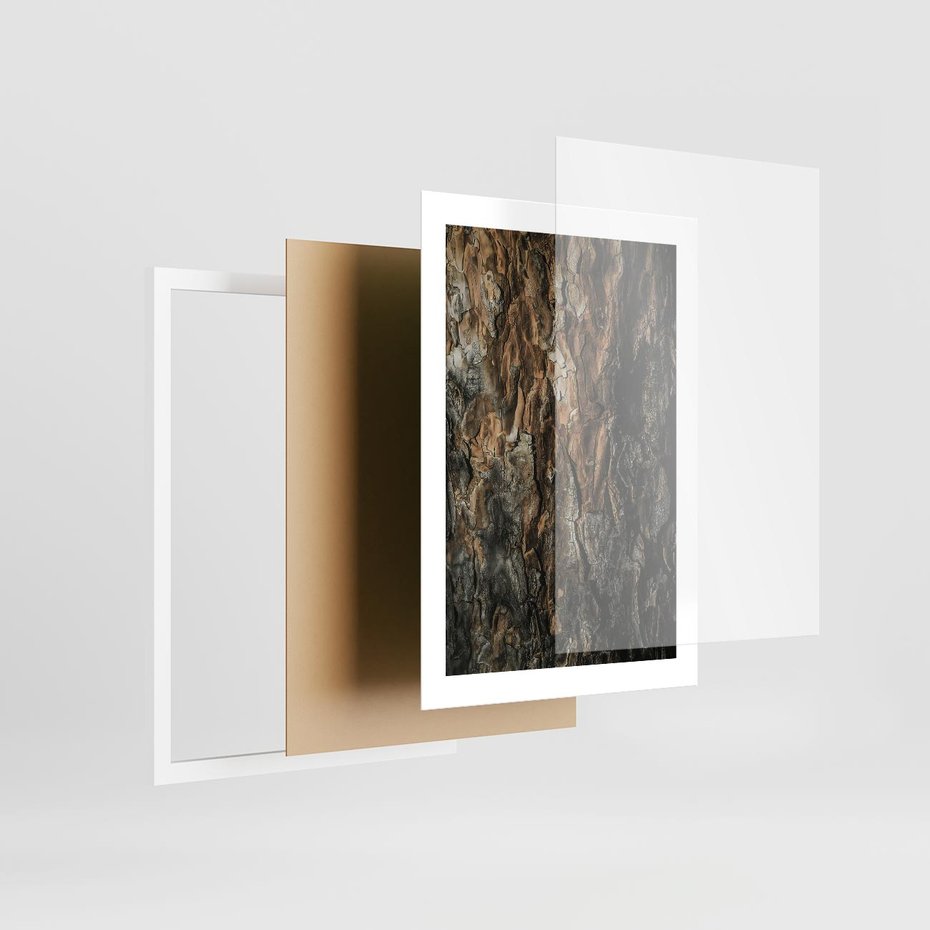 Plakat w ramie 30x40 - Tekstura Drewna: Zbliżenie - zbliżenie na pień drzewa, tekstura - rama biała