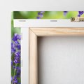 Obraz na płótnie 80x80 - Elegancka lawenda w pełnym rozkwicie - lawenda, kwiaty