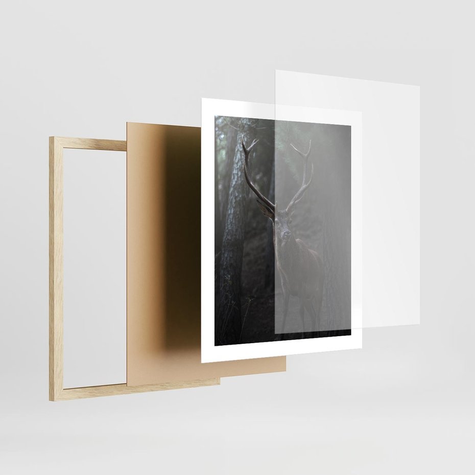 Plakat w ramie 40x50 - Jeleń wśród lasu - jeleń, las - rama drewno