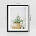 Plakat w ramie 40x50 - Eukaliptusowa Świeżość - eukaliptus, liście w koszu z wikliny - rama czarna