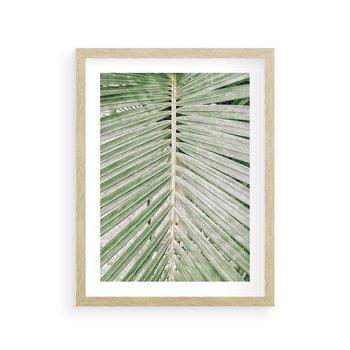 Plakat w ramie 50x70 - Jasna Zieleń Palmy - liść palmy, zbliżenie - rama drewno