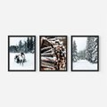 Zestaw obrazy w ramie 40x50 galeria - Zima, las, renifer, krajobraz - rama czarna