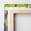 Obraz na płótnie 30x30 - Lawenda w naturze - lawenda, kwiaty