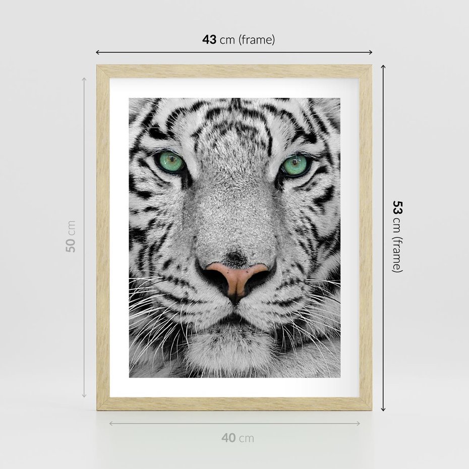 Plakat w ramie 40x50 - Magia Białego Tygrysa - biały, tygrys - rama drewno